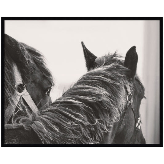 Black Horses by Emiko and Mark Franzen F2 Images Framed Wall Art Print