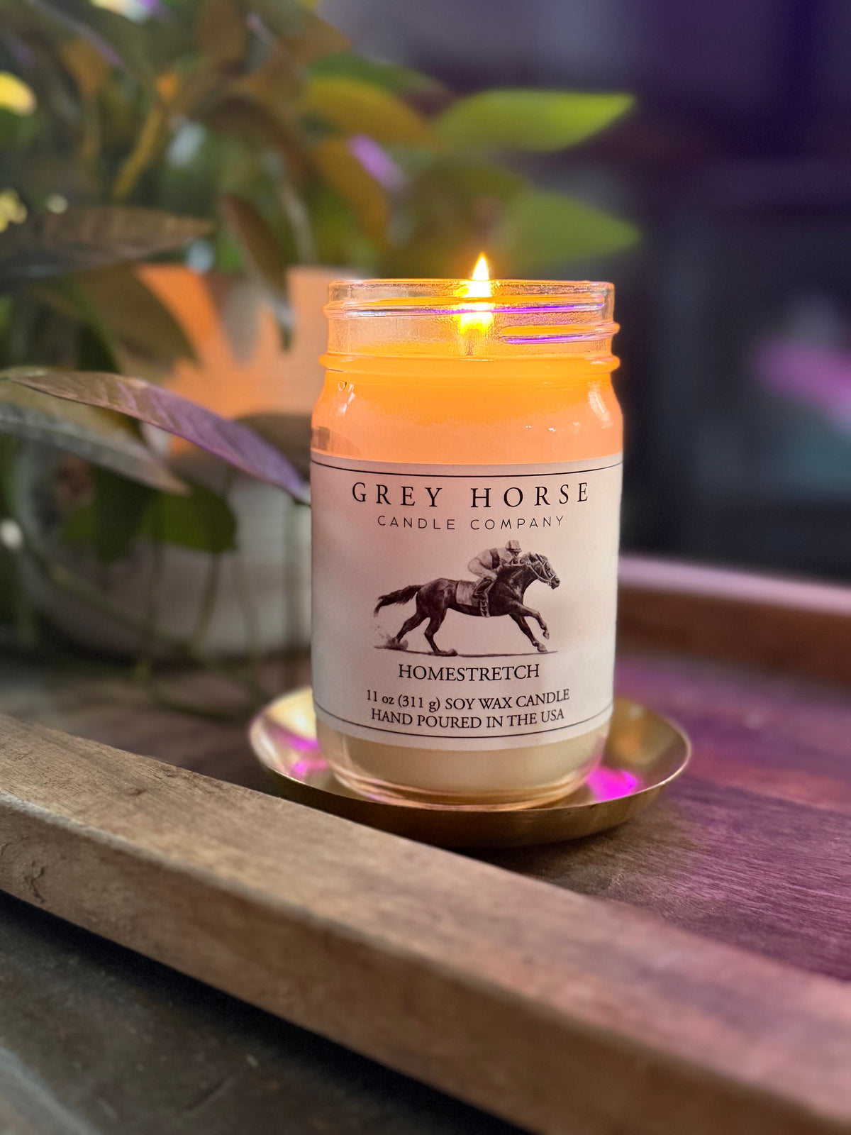 Candle from Grey Horse Candle Company on a wooden surface with a plant in the background