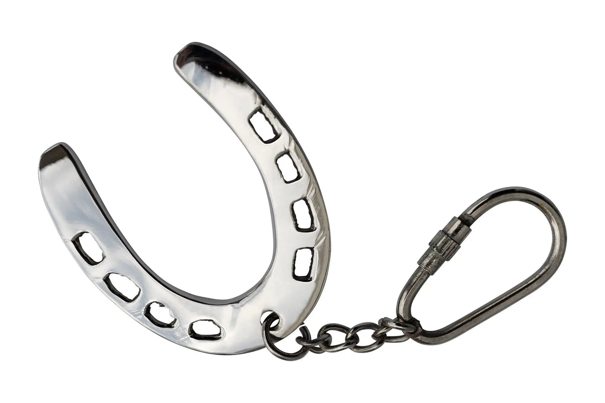 Metallic horseshoe keychain on a white background