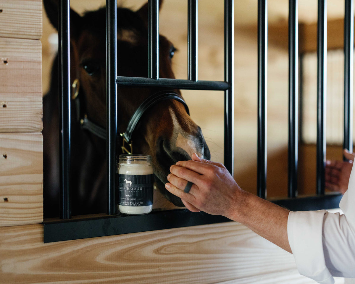 Person interacting with a horse through metal bars, holding a jar.