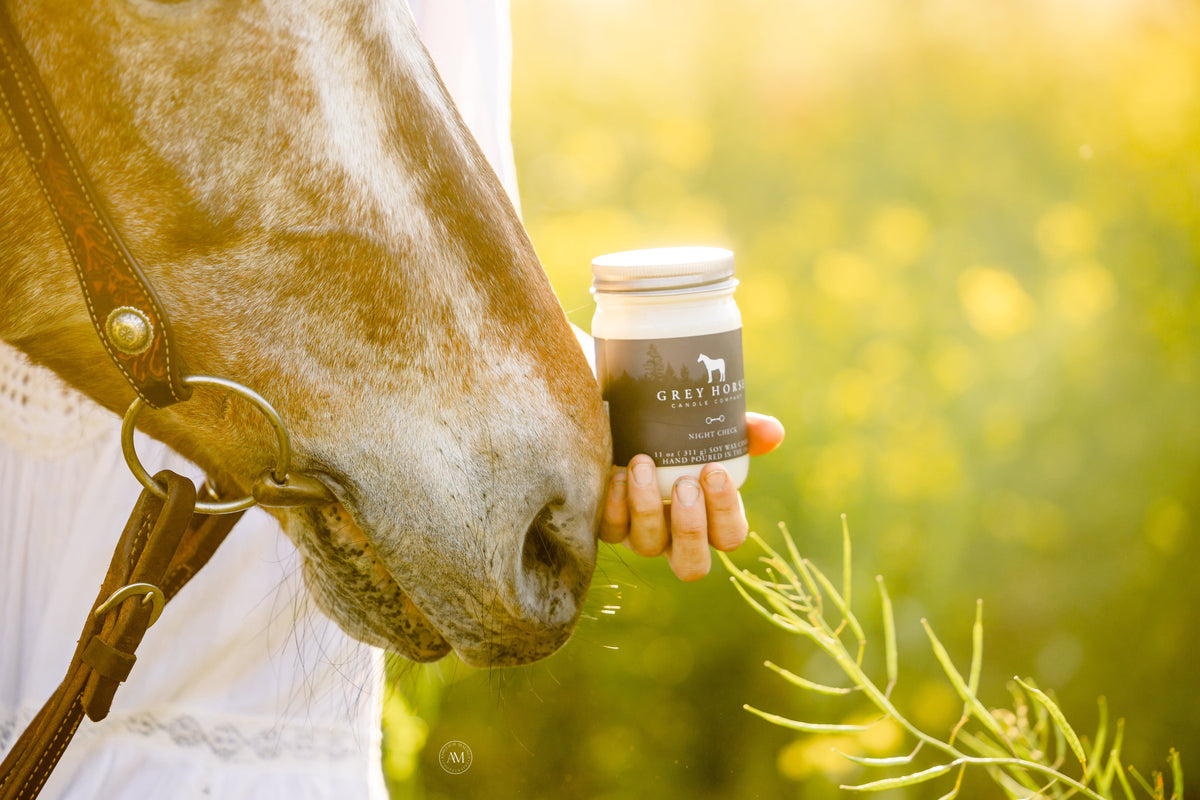 Person holding a jar labeled 'Gray Horse' next to a horse in a field